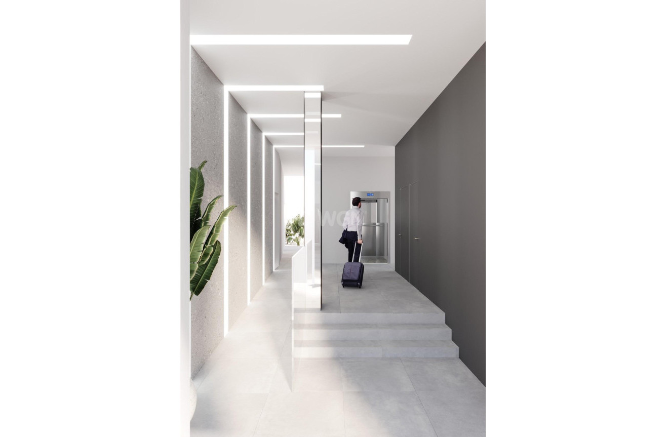 Obra nueva - Ático - Torrevieja - Centro