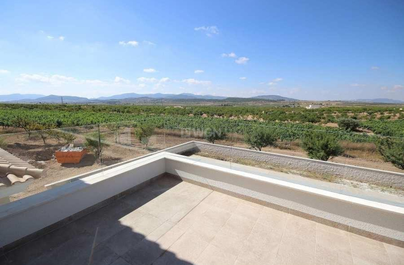 Nowy budynek - Villa - Pinoso - Camino Del Prado