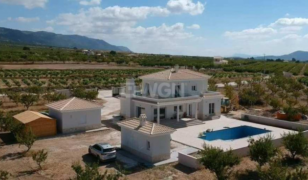 Nowy budynek - Villa - Pinoso - Camino Del Prado