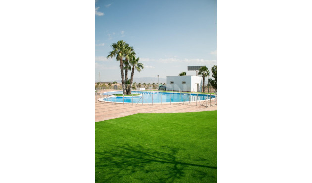 Nowy budynek - Kamienica - Fuente Álamo - Las Palas