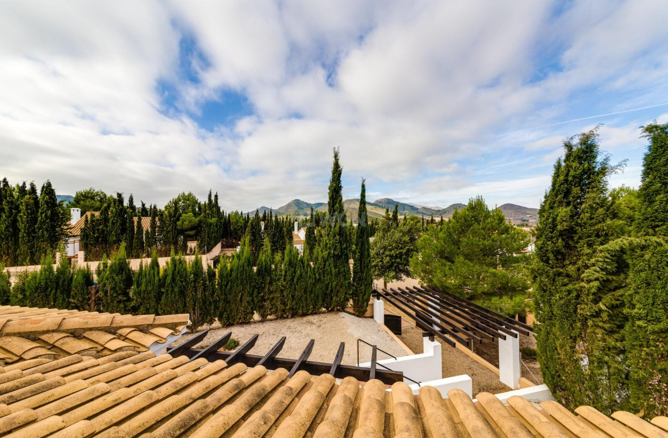 Nowy budynek - Kamienica - Fuente Álamo - Las Palas