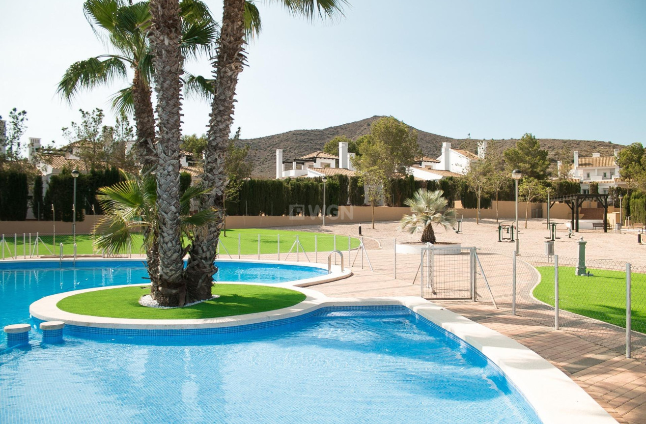 Obra nueva - Villa - Fuente Álamo - Las Palas