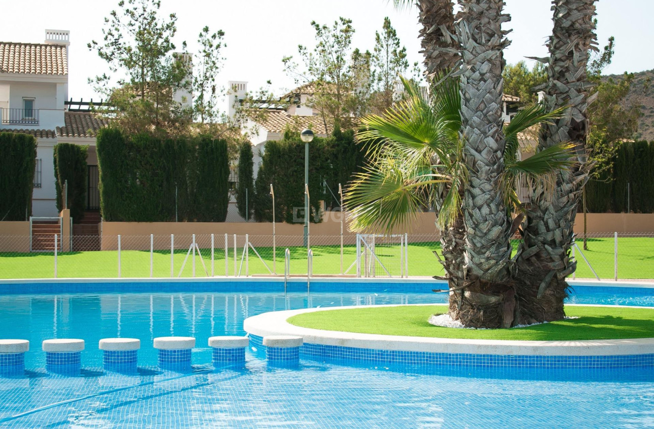 Neue Gebäude - Villa - Fuente Álamo - Las Palas