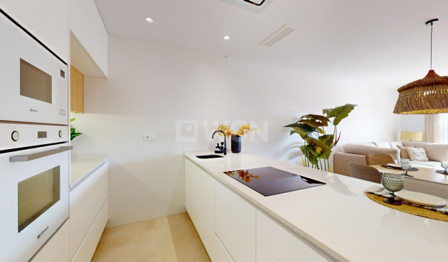 Nowy budynek - Daszek - Guardamar del Segura - El Raso