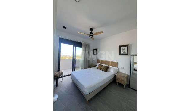 Nowy budynek - Kamienica - Polop - PAU1