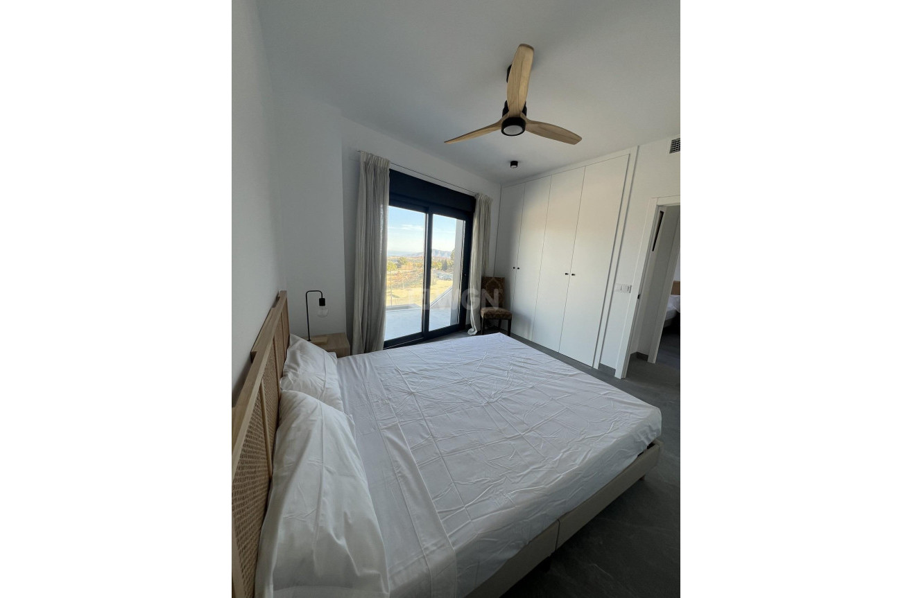 Nowy budynek - Kamienica - Polop - PAU1