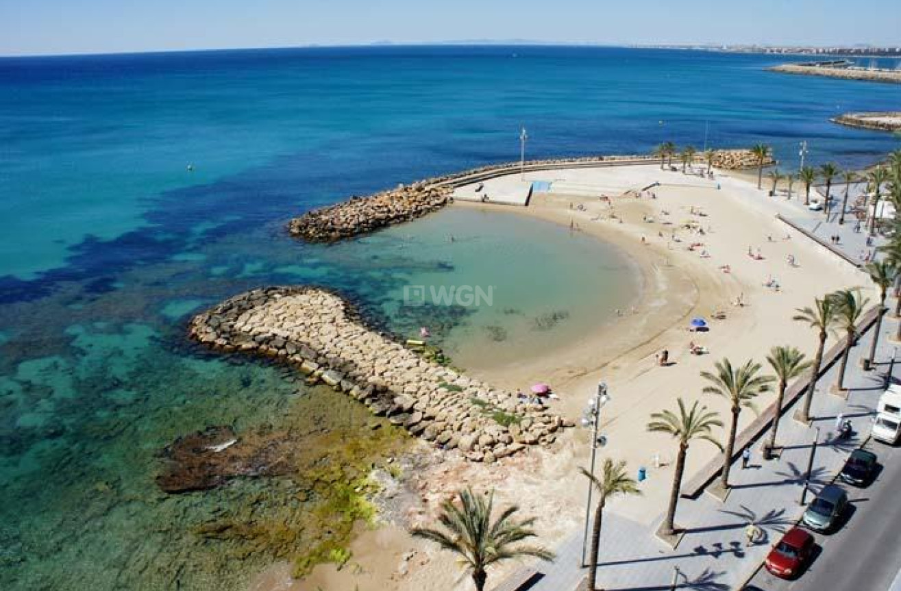 Nowy budynek - Mieszkanie w bloku - Torrevieja - Habaneras