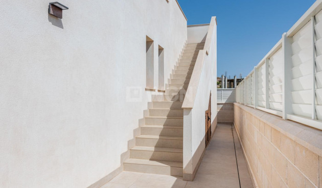 Nowy budynek - Villa - Vera - Vera Playa