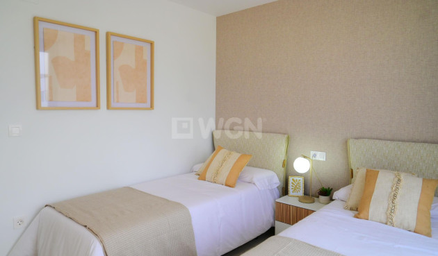 Nowy budynek - Villa - Dolores - polideportivo