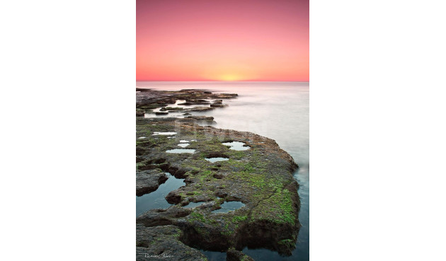 Nowy budynek - Bungalow - Torrevieja - Altos del Sol