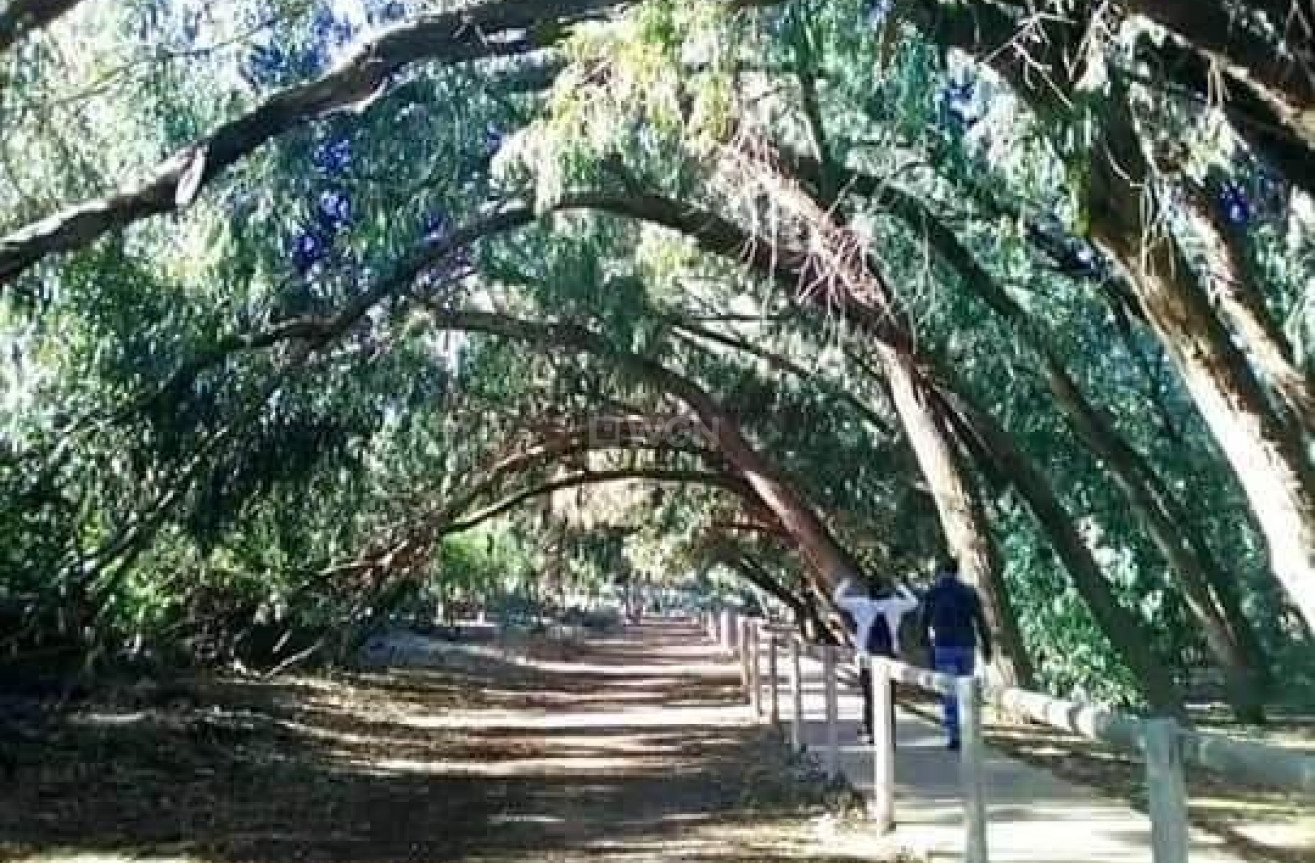 Nowy budynek - Bungalow - Torrevieja - Altos del Sol