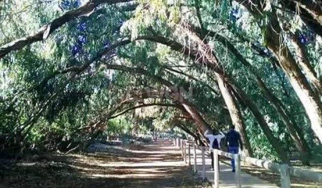 Nowy budynek - Bungalow - Torrevieja - Altos del Sol