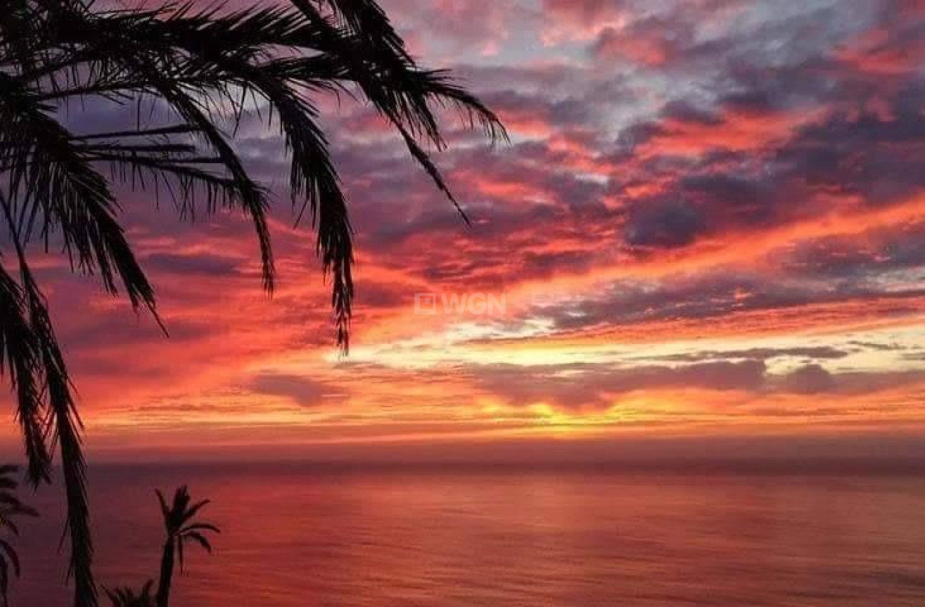 Nowy budynek - Bungalow - Torrevieja - Altos del Sol