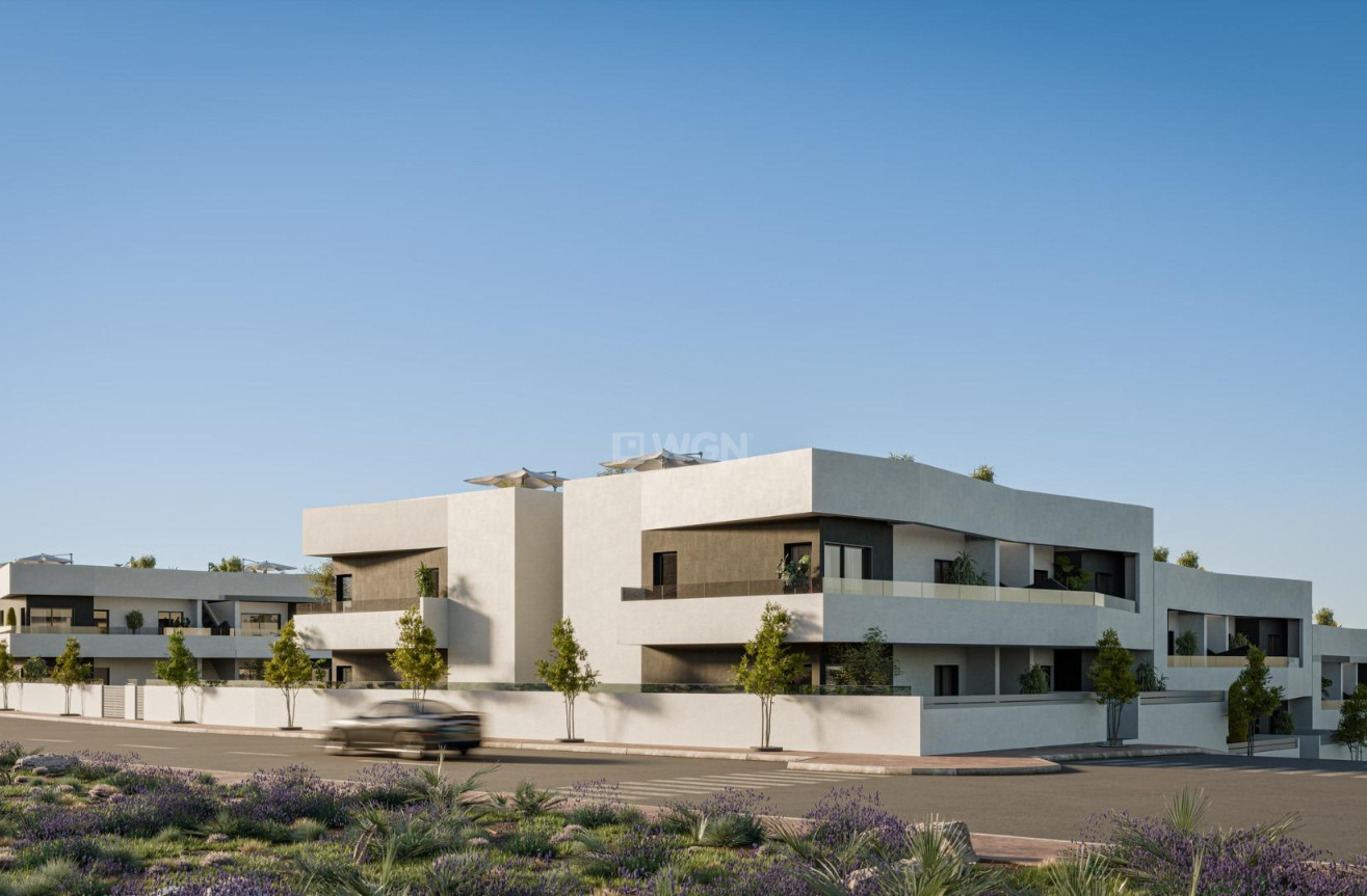 Neue Gebäude - Bungalow - San Miguel de Salinas - Pueblo