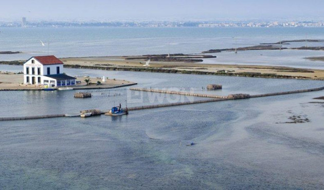 Nowy budynek - Villa - San Pedro del Pinatar - CENTRO