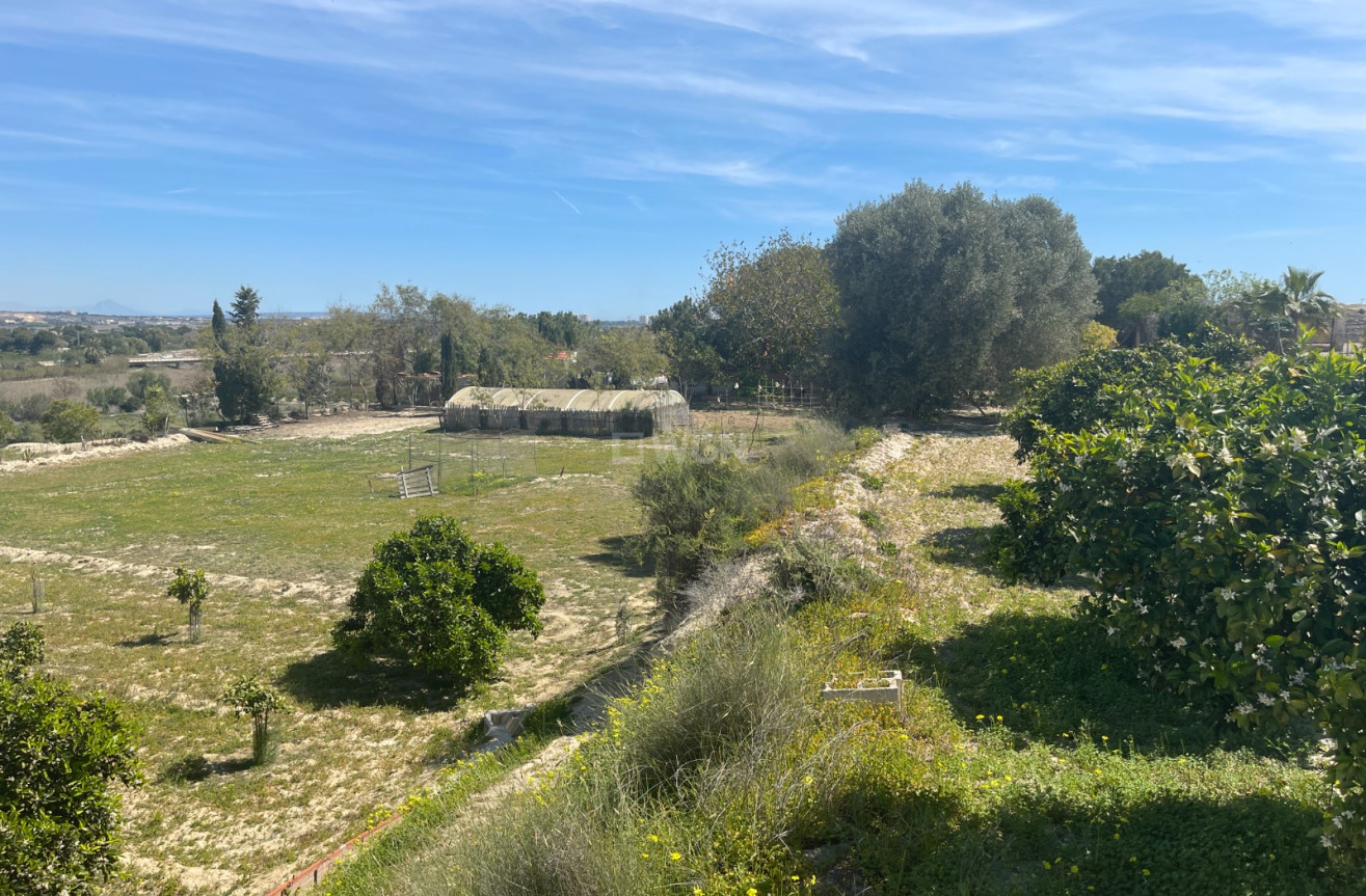 Odsprzedaż - Villa - Guardamar del Segura - Costa Blanca