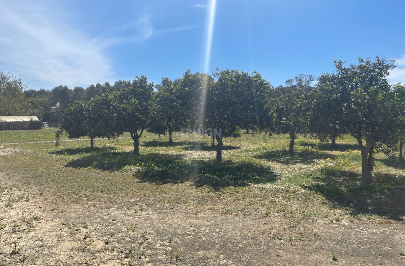 Odsprzedaż - Villa - Guardamar del Segura - Costa Blanca