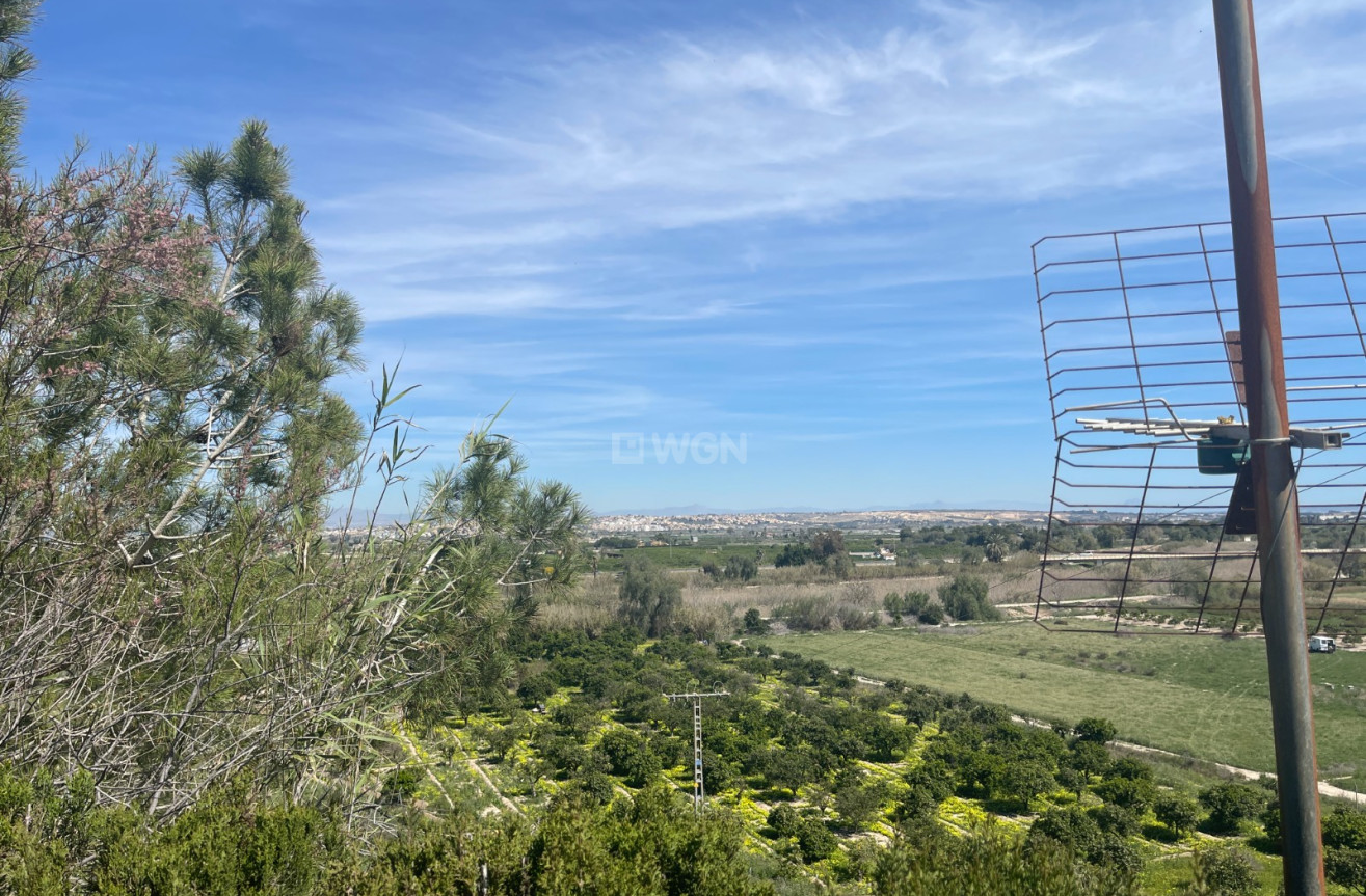 Odsprzedaż - Villa - Guardamar del Segura - Costa Blanca