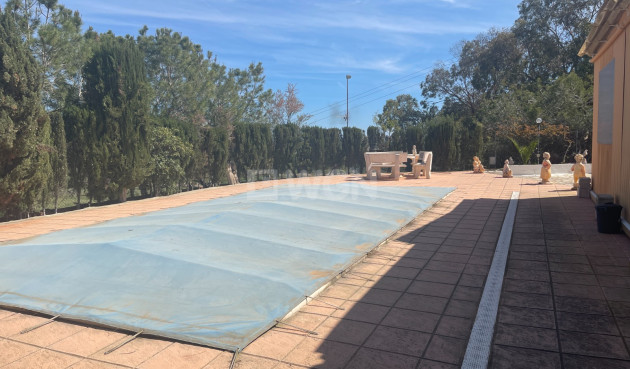 Odsprzedaż - Villa - Guardamar del Segura - Costa Blanca