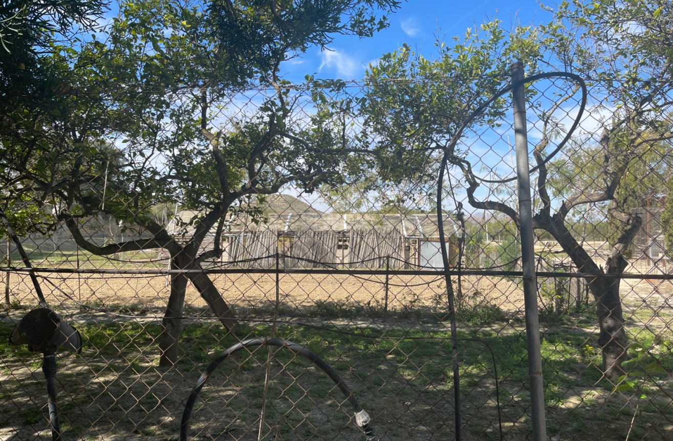 Odsprzedaż - Villa - Guardamar del Segura - Costa Blanca