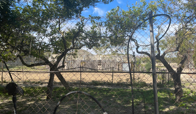 Odsprzedaż - Villa - Guardamar del Segura - Costa Blanca