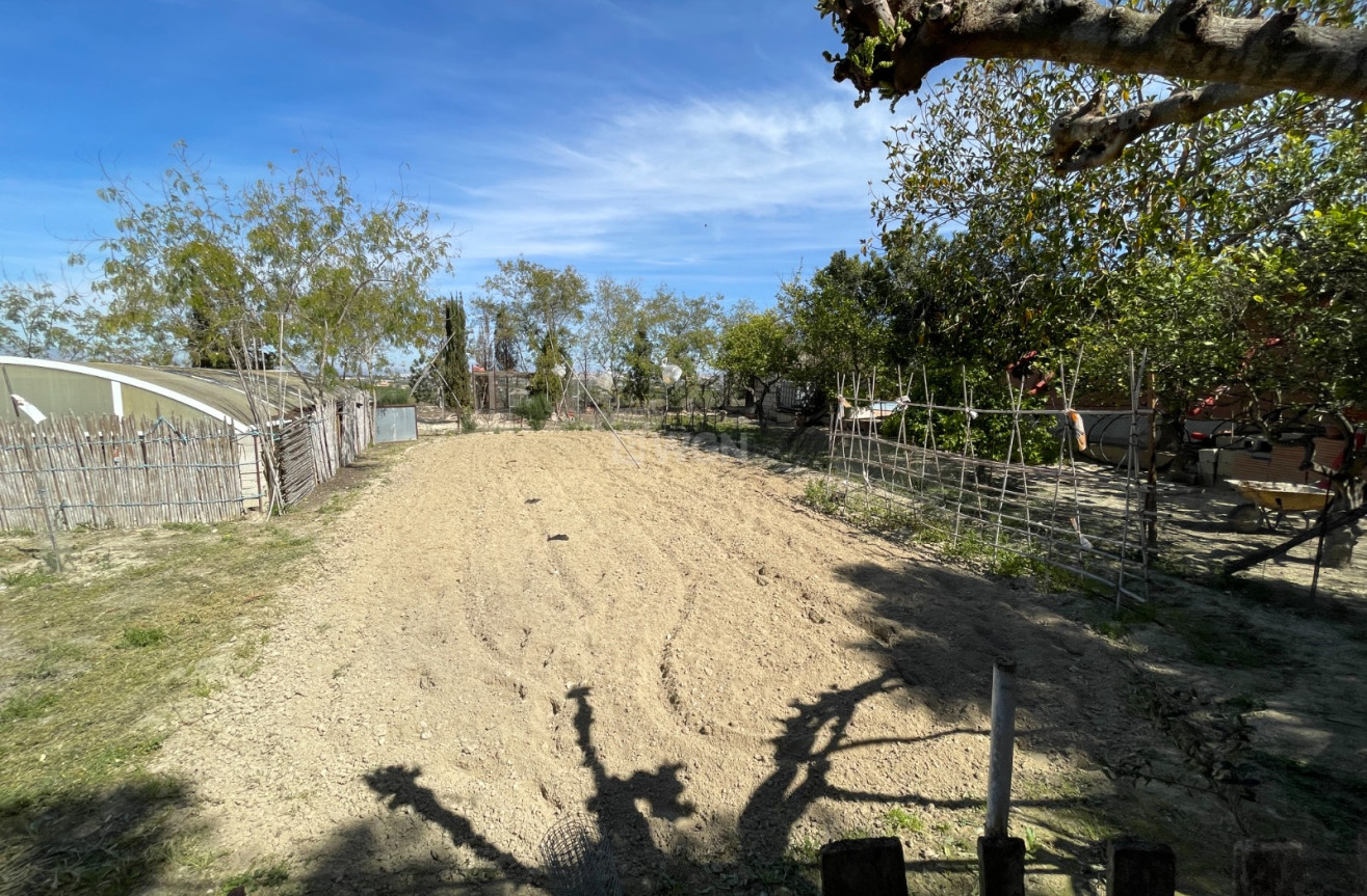 Odsprzedaż - Villa - Guardamar del Segura - Costa Blanca