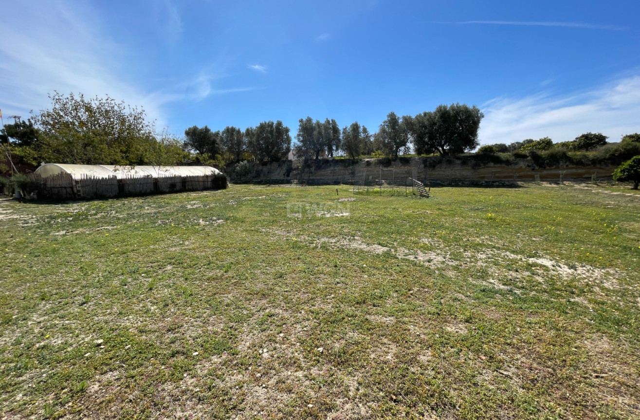 Odsprzedaż - Villa - Guardamar del Segura - Costa Blanca