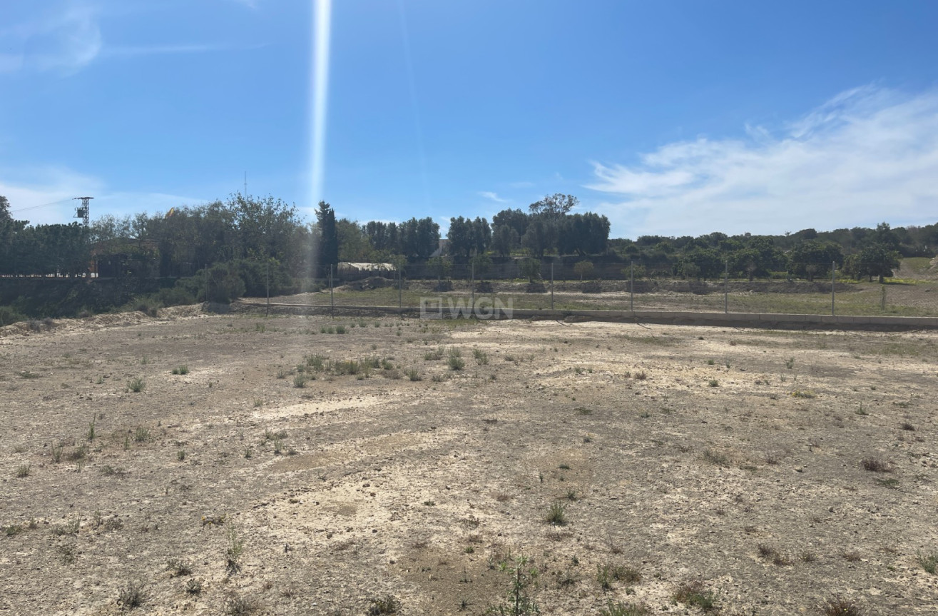 Odsprzedaż - Villa - Guardamar del Segura - Costa Blanca