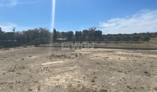 Odsprzedaż - Villa - Guardamar del Segura - Costa Blanca