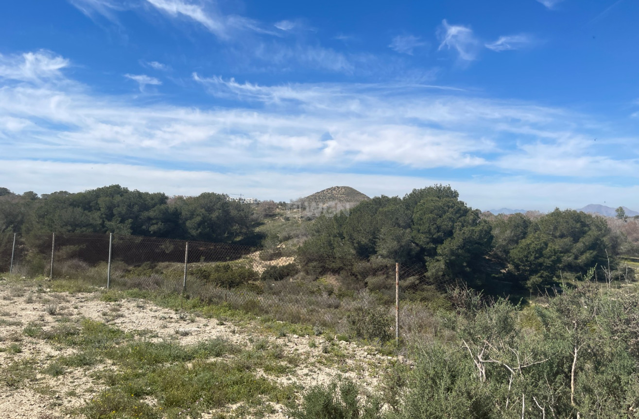 Odsprzedaż - Villa - Guardamar del Segura - Costa Blanca