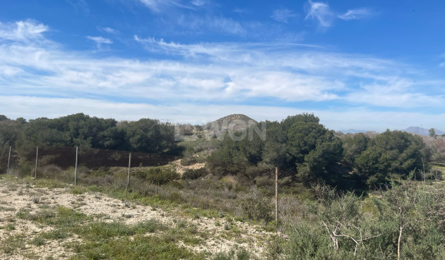 Odsprzedaż - Villa - Guardamar del Segura - Costa Blanca