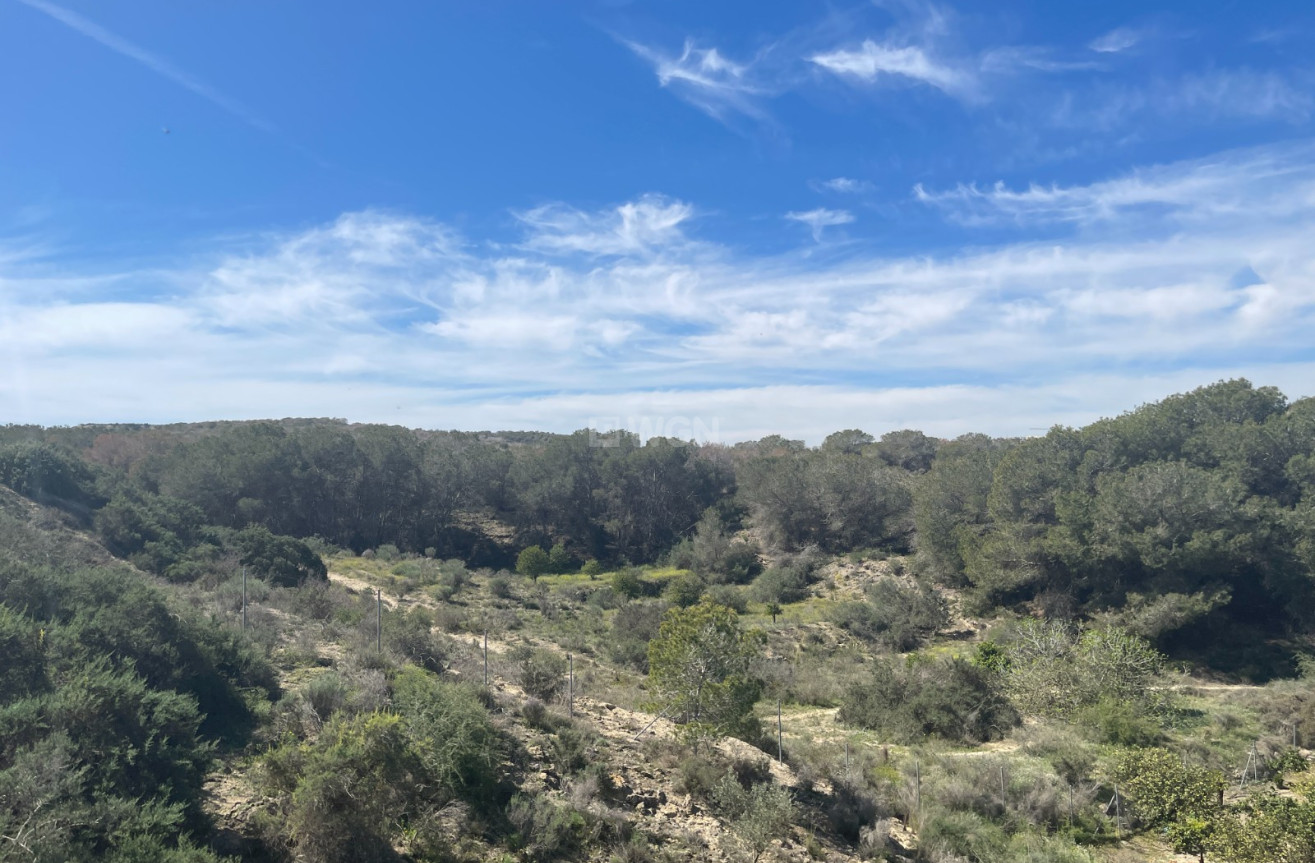 Odsprzedaż - Villa - Guardamar del Segura - Costa Blanca