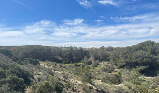 Odsprzedaż - Villa - Guardamar del Segura - Costa Blanca