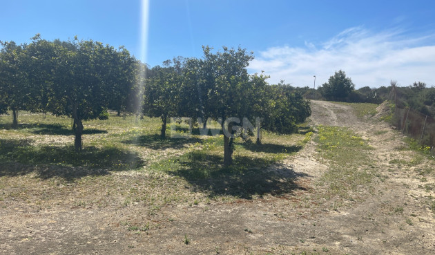 Odsprzedaż - Villa - Guardamar del Segura - Costa Blanca