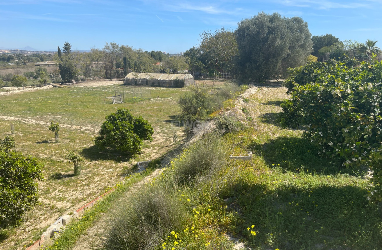 Odsprzedaż - Villa - Guardamar del Segura - Costa Blanca