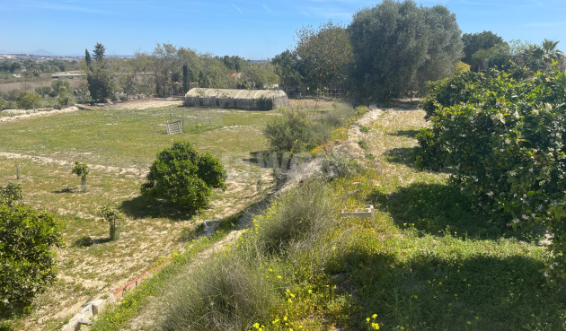 Odsprzedaż - Villa - Guardamar del Segura - Costa Blanca