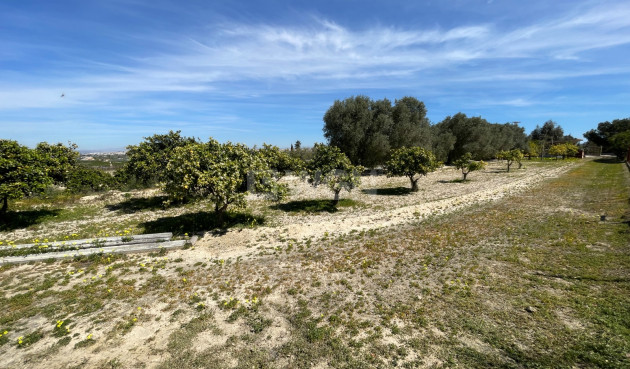Odsprzedaż - Villa - Guardamar del Segura - Costa Blanca