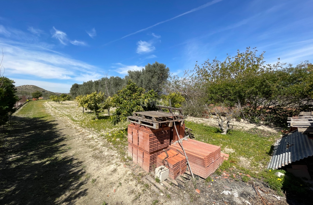 Odsprzedaż - Villa - Guardamar del Segura - Costa Blanca
