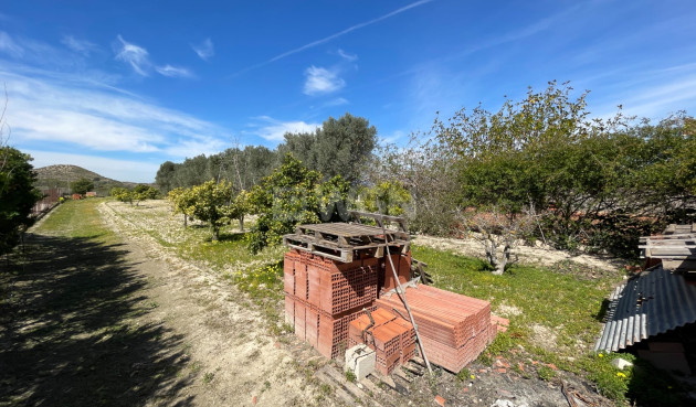 Odsprzedaż - Villa - Guardamar del Segura - Costa Blanca