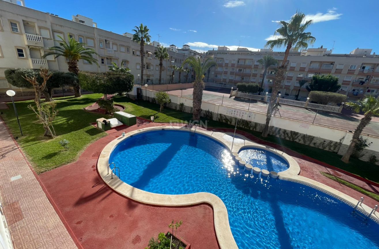 Reventa - Apartamento / piso - Torrevieja - Costa Blanca