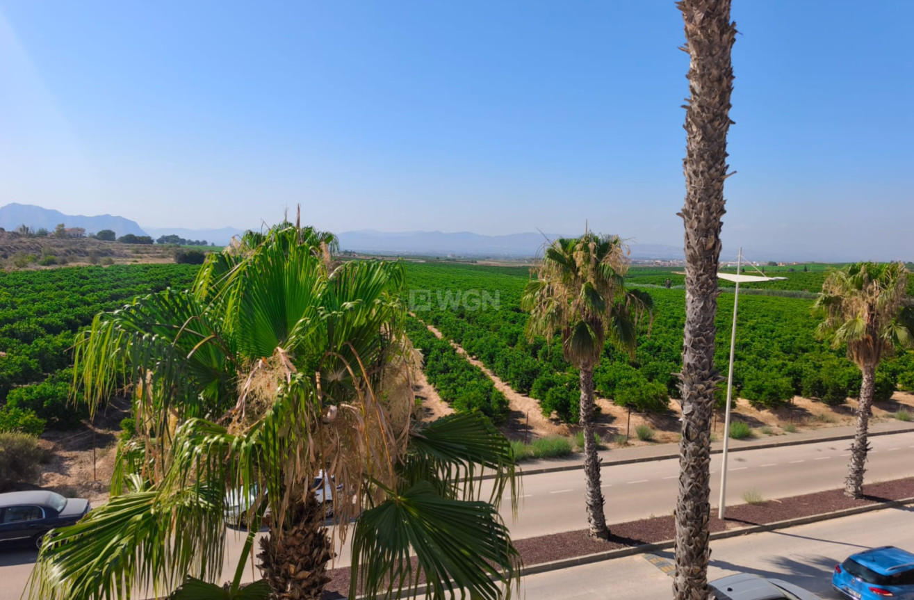 Reventa - Duplex - Algorfa - Inland