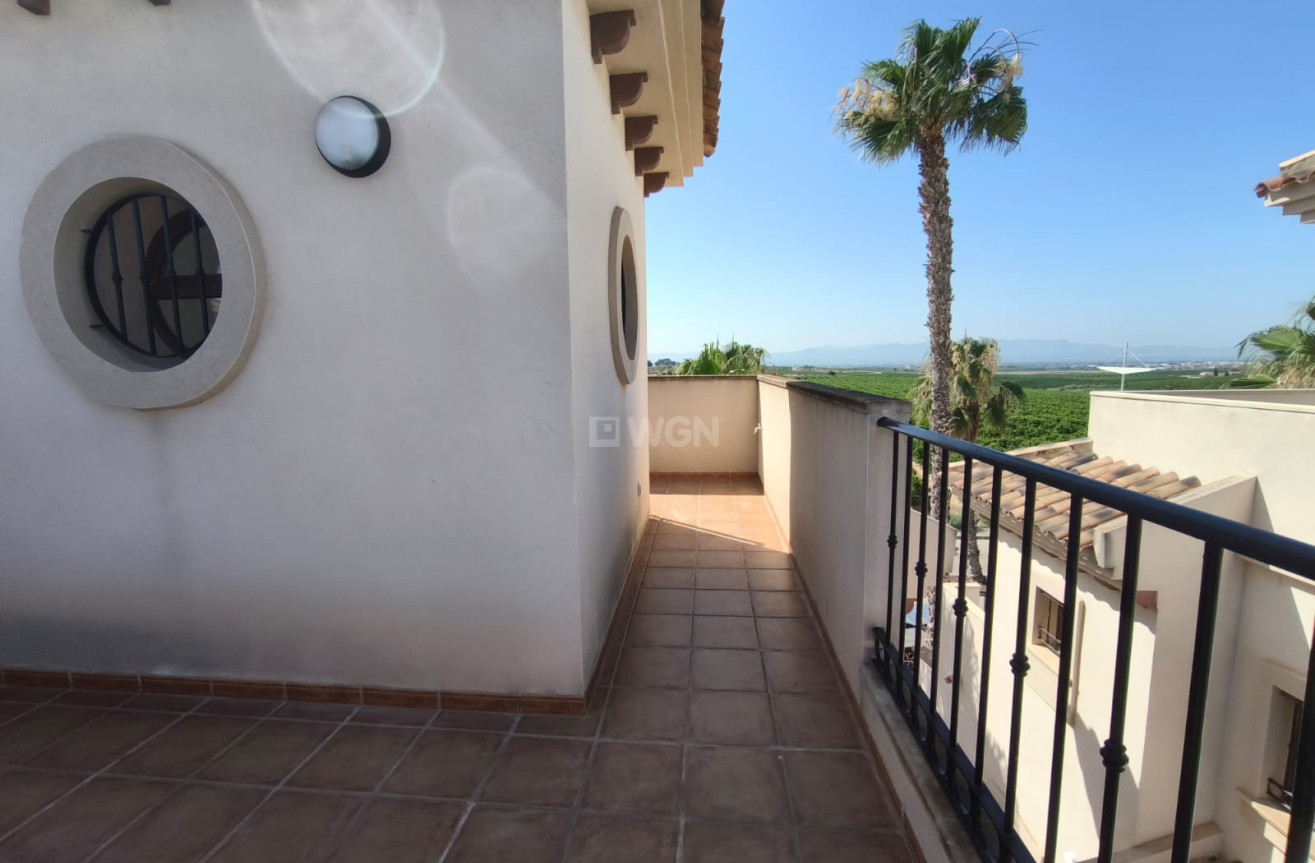 Reventa - Duplex - Algorfa - Inland