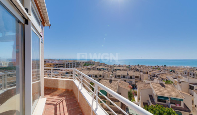 Odsprzedaż - Mieszkanie w bloku - Guardamar del Segura - Costa Blanca