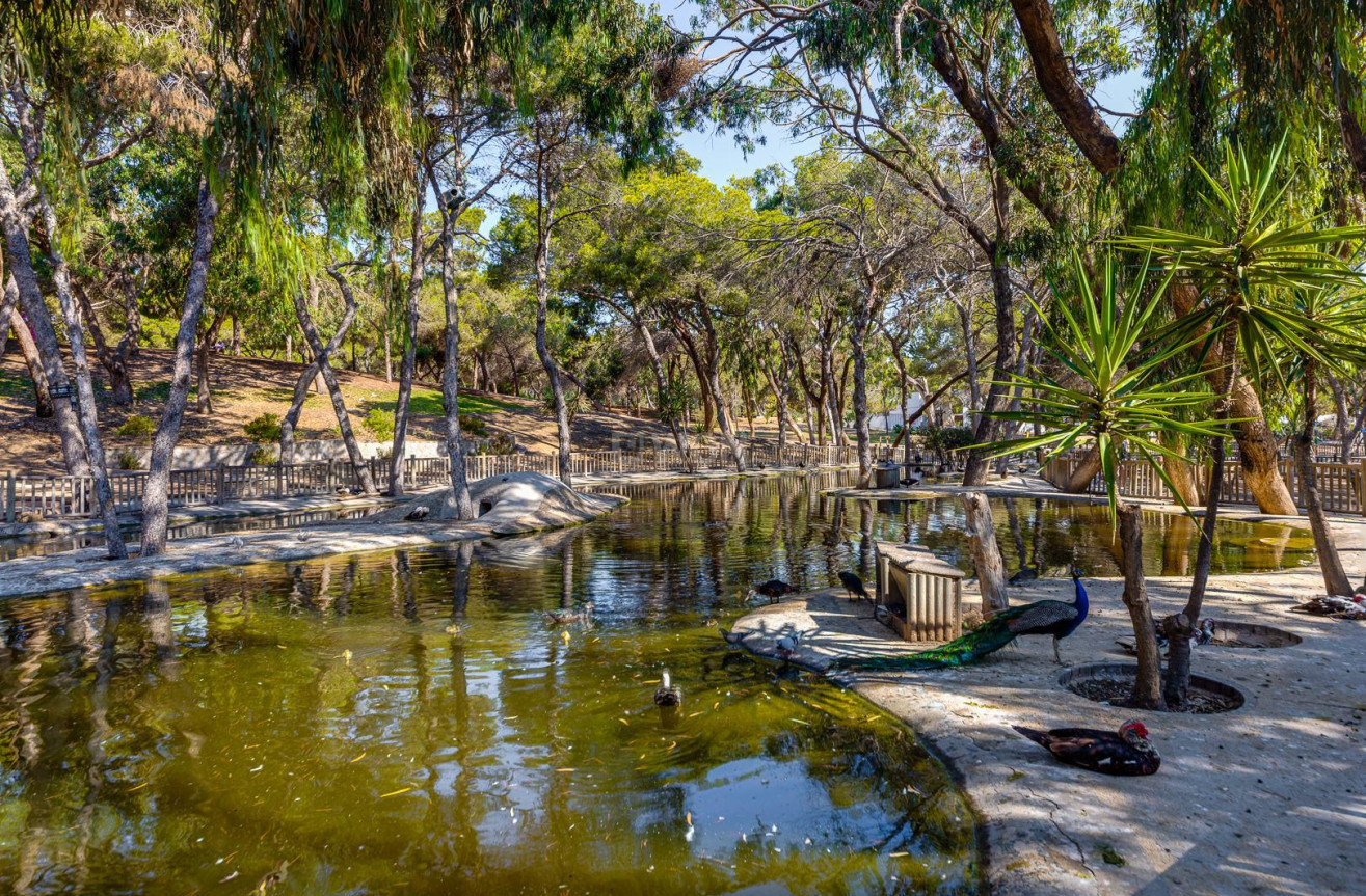 Odsprzedaż - Mieszkanie w bloku - Guardamar del Segura - Costa Blanca