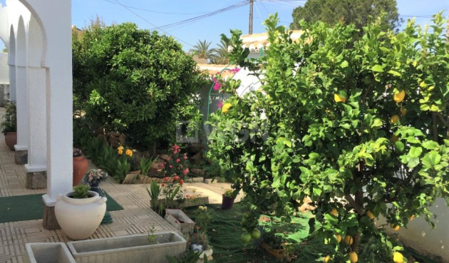 Resale - Villa - Torrevieja - Costa Blanca