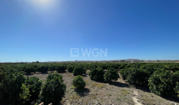 Resale - Townhouse - San Fulgencio - Costa Blanca