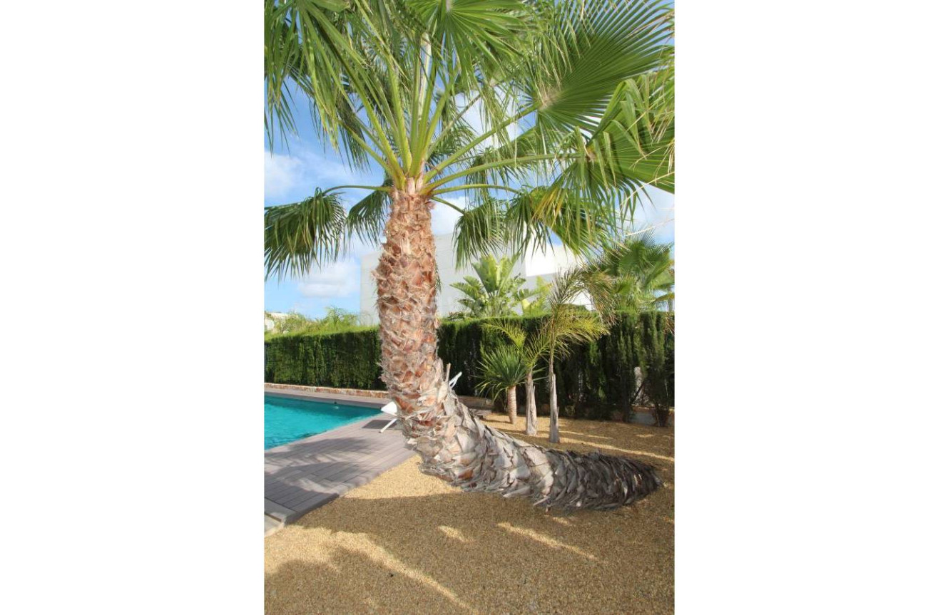 Odsprzedaż - Villa - Rojales - Inland