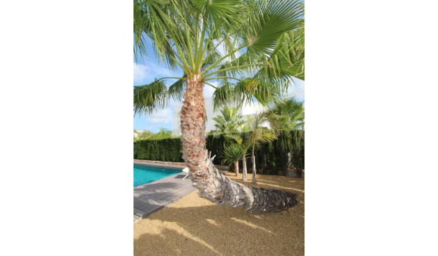 Odsprzedaż - Villa - Rojales - Inland