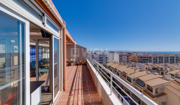 Odsprzedaż - Dupleks - Guardamar del Segura - Costa Blanca