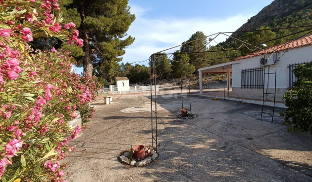 Odsprzedaż - Villa - Yecla - Inland